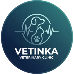 Vetinka